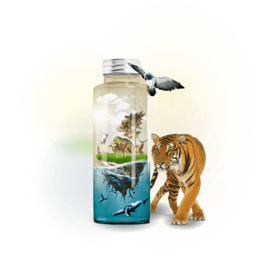 Sustainability & Energy Solutions