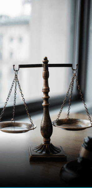Law Enforcement & Public Safety